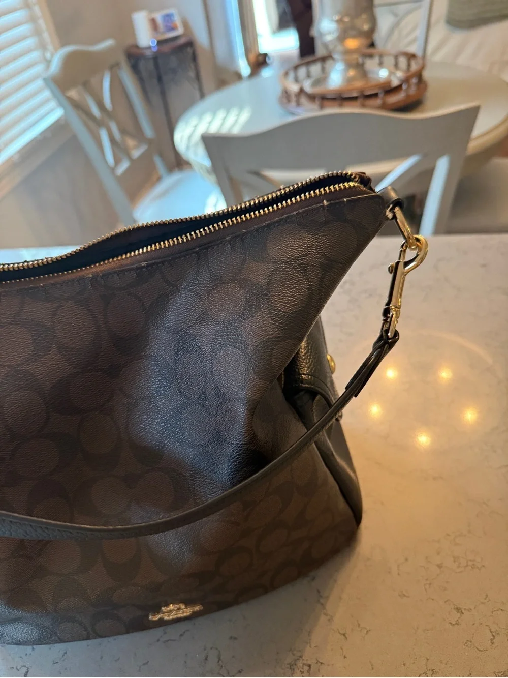 Coach Pennie Shoulder Bag Signature Canvas Brown Black Leather C1523